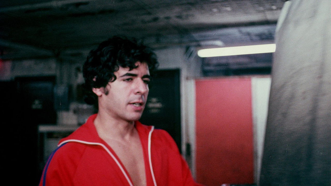 Midnight Desires backdrop