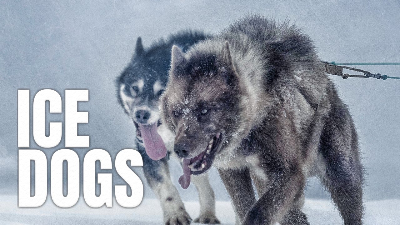 Ice Dogs: The Only Companions Worth Having