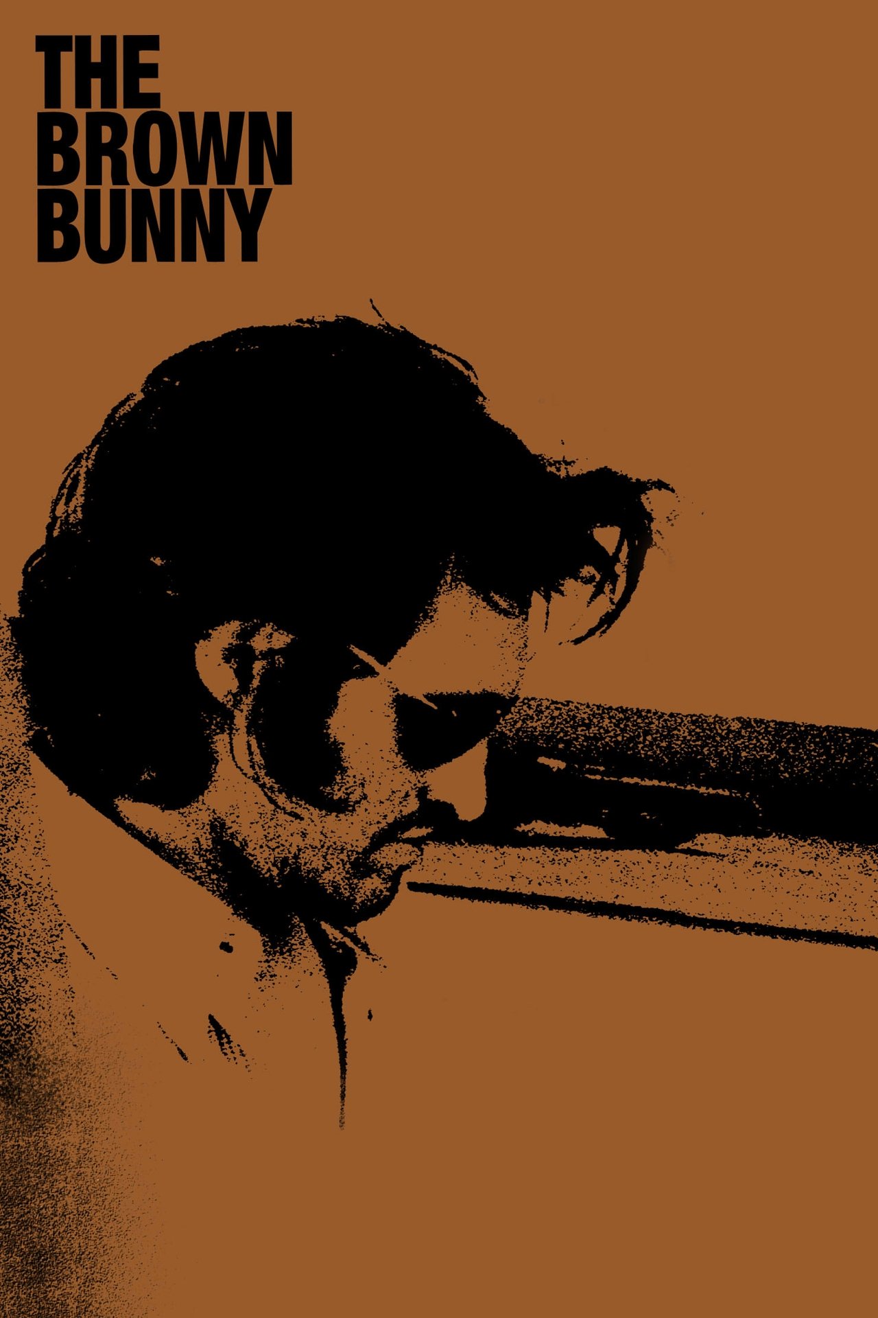 The brown bunny video The brown bunny video