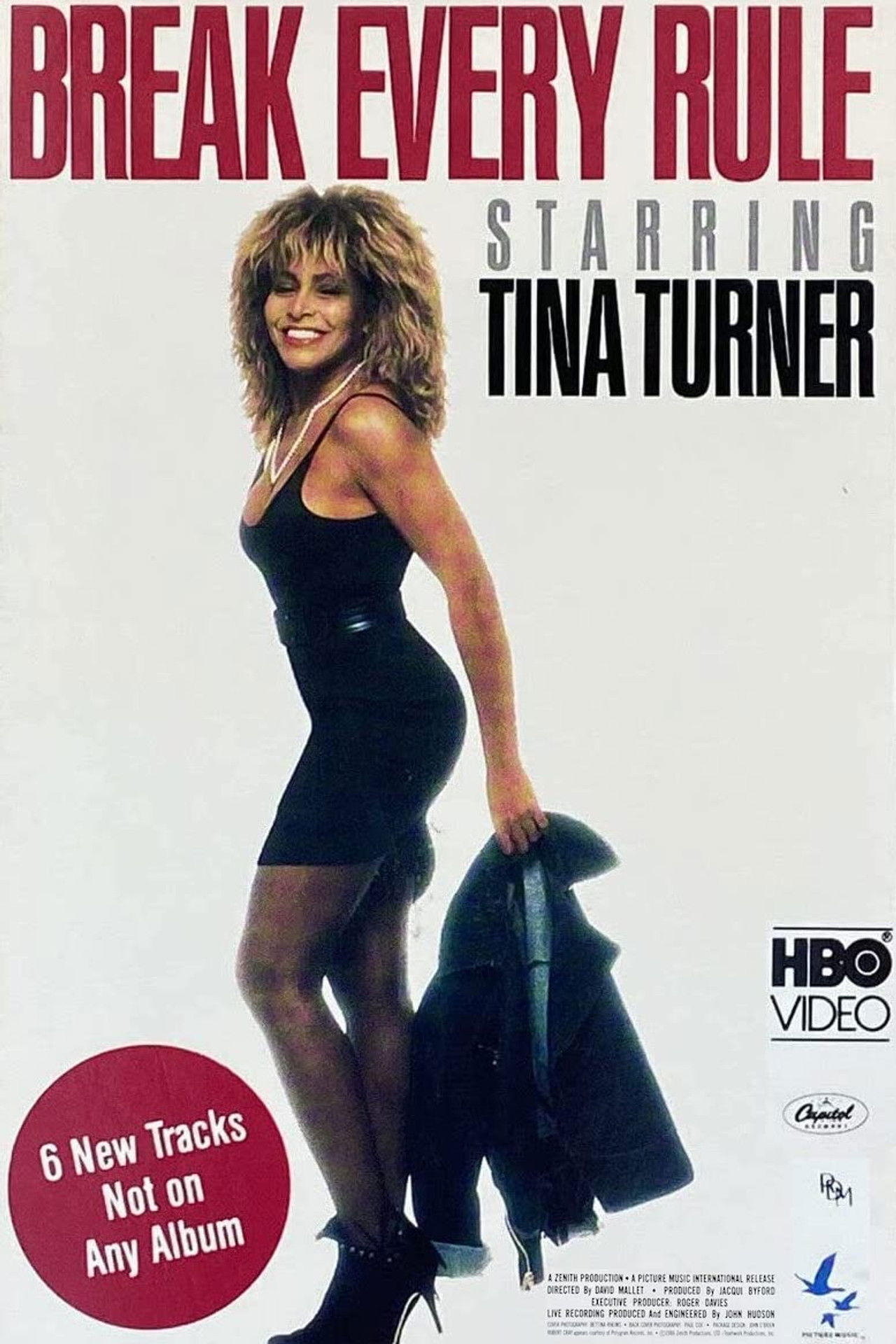 Tina Turner: Break Every Rule Backdrop