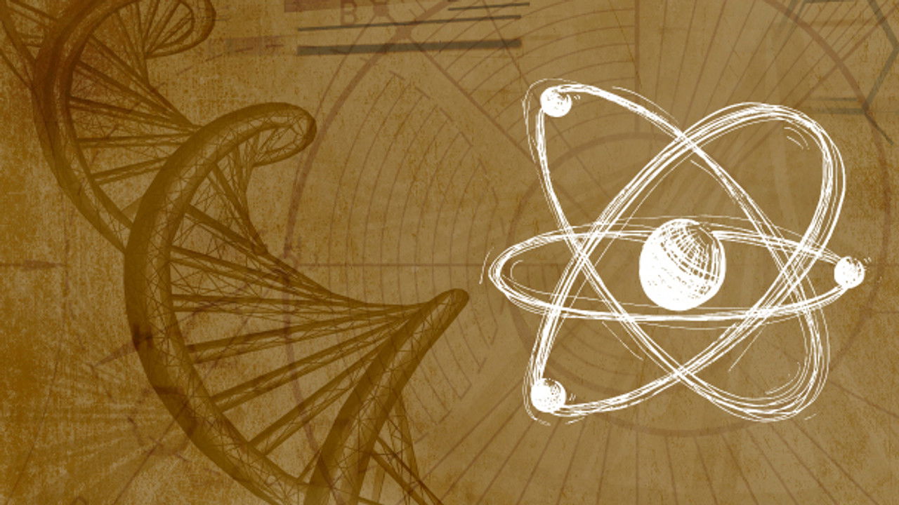 Inner Evolution — Épisode 4