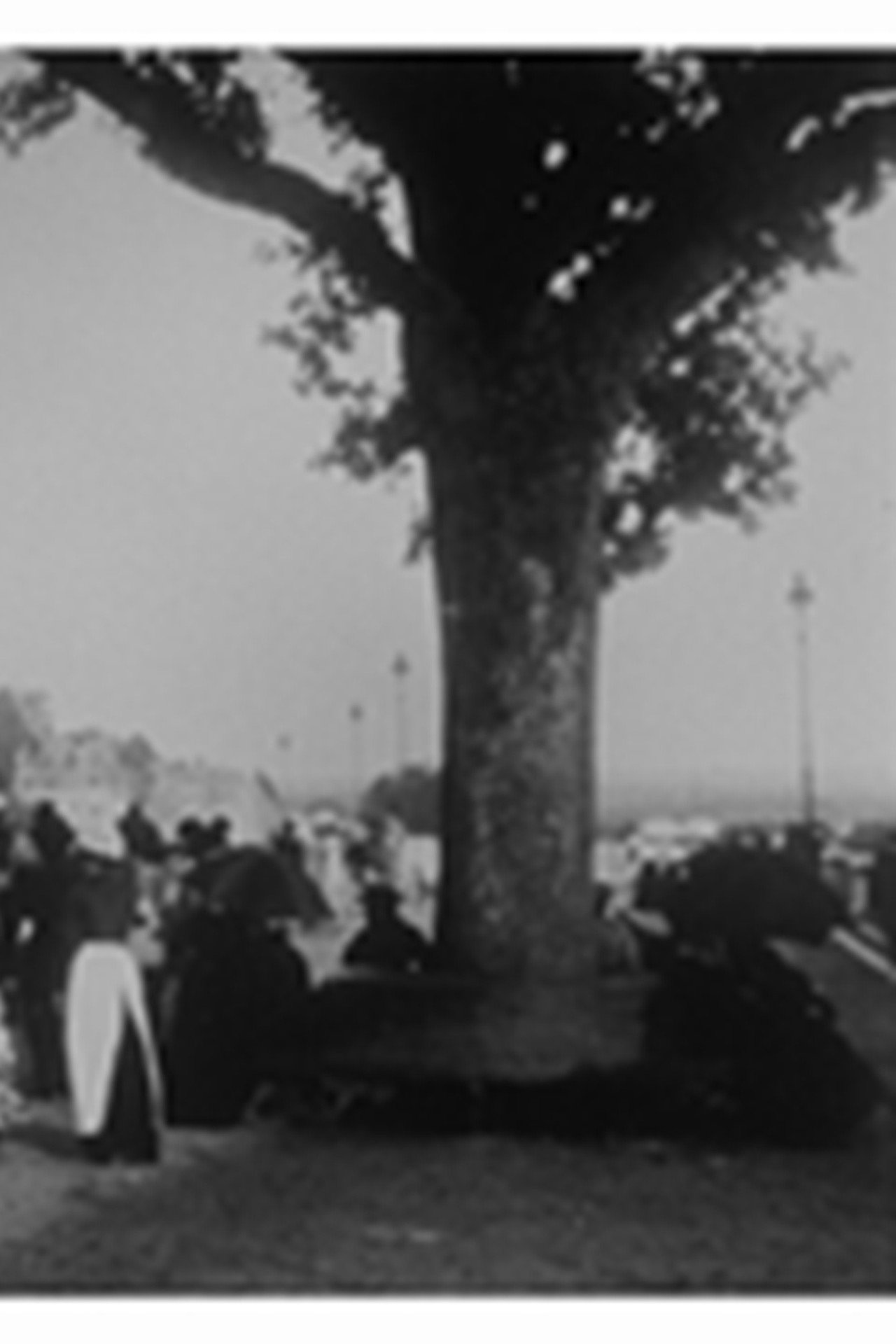 Pau : la terrasse Backdrop