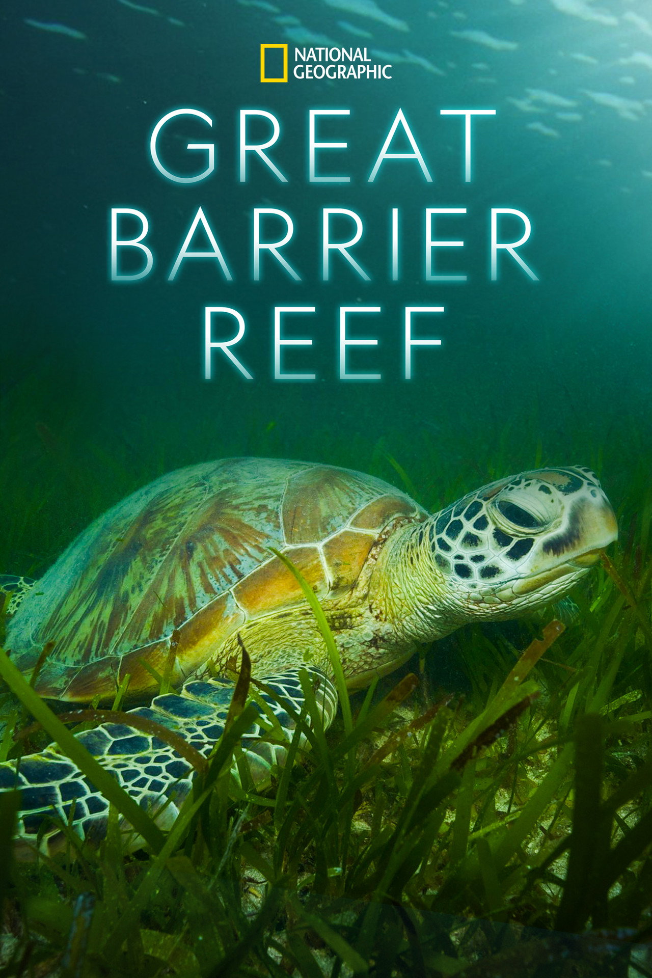 Great Barrier Reef (2020)