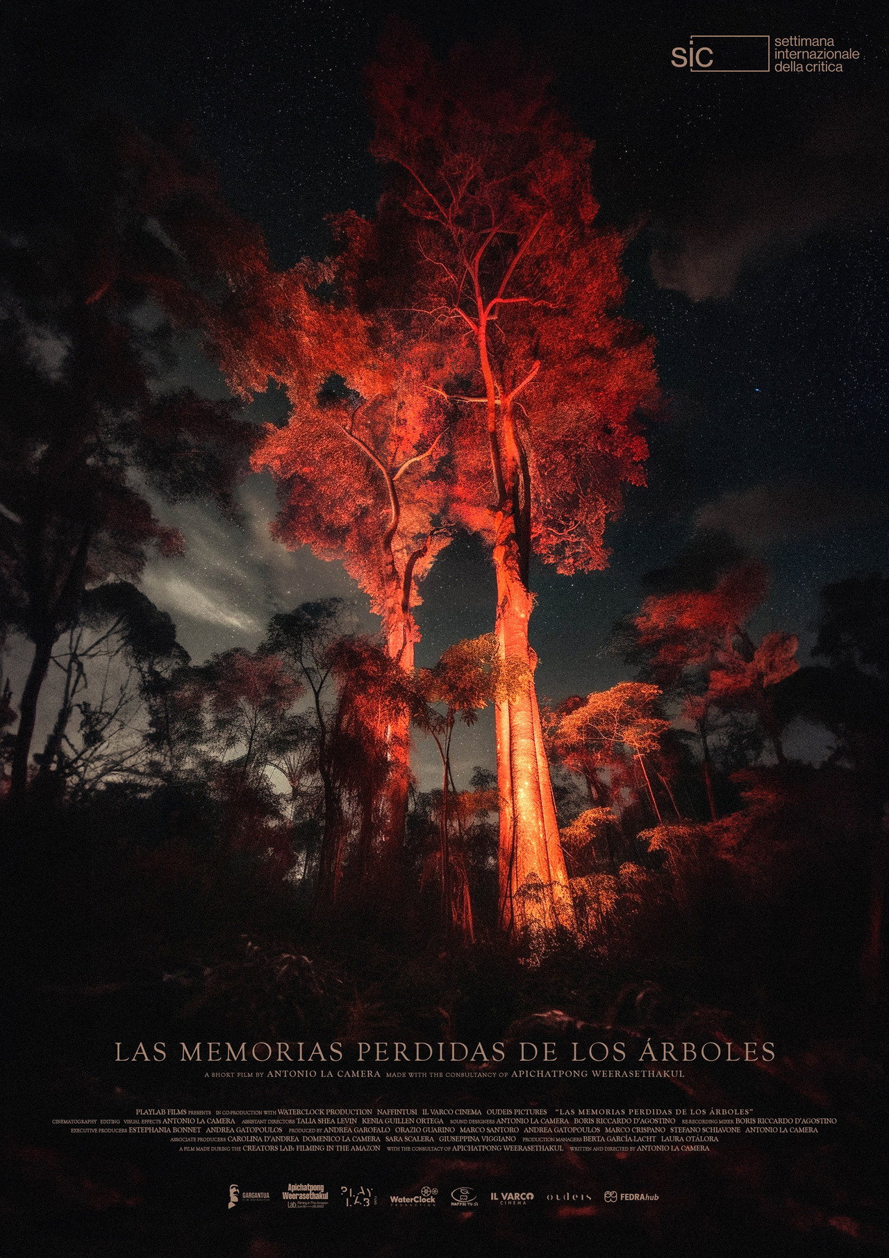 Las memorias perdidas de los árboles filmaffisch