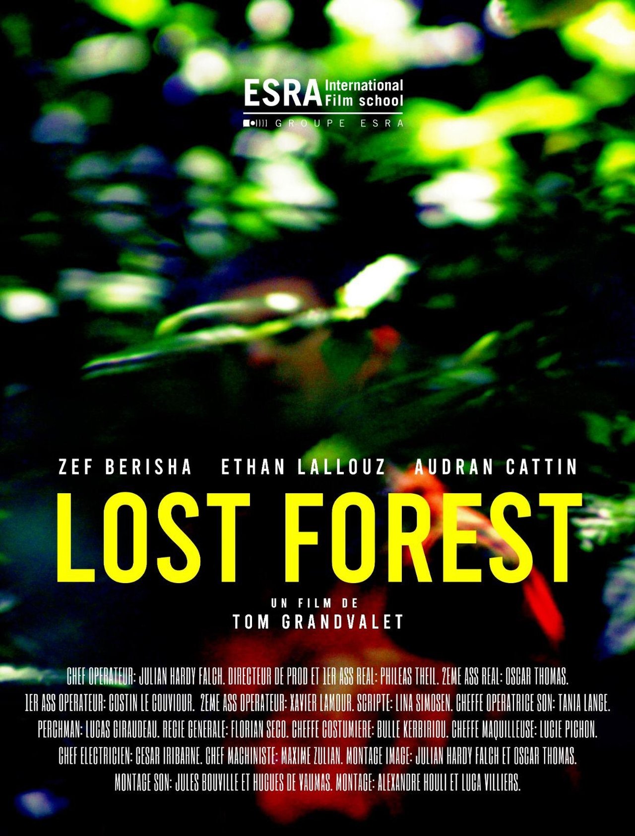 Lost Forest Lost Forest
