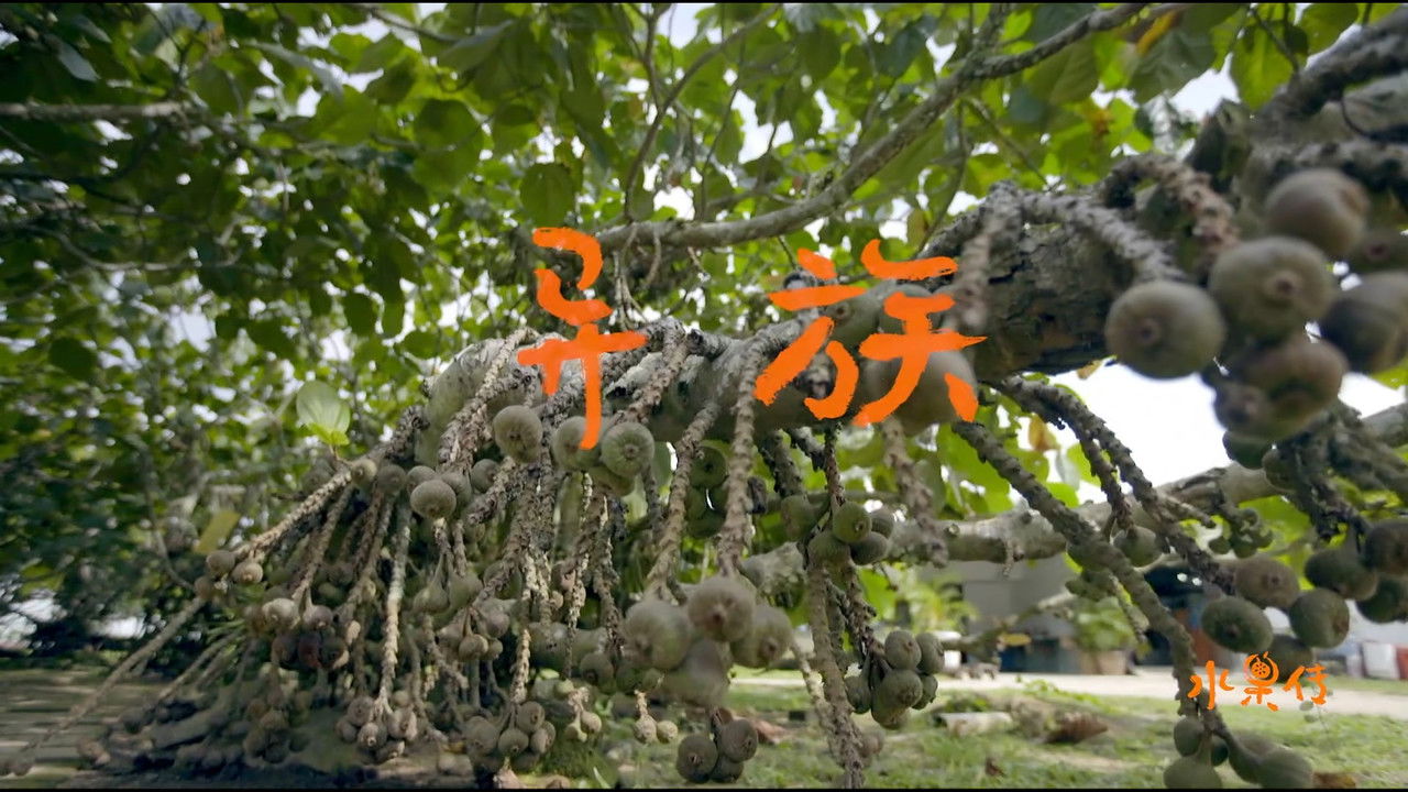 水果传 — Épisode 2