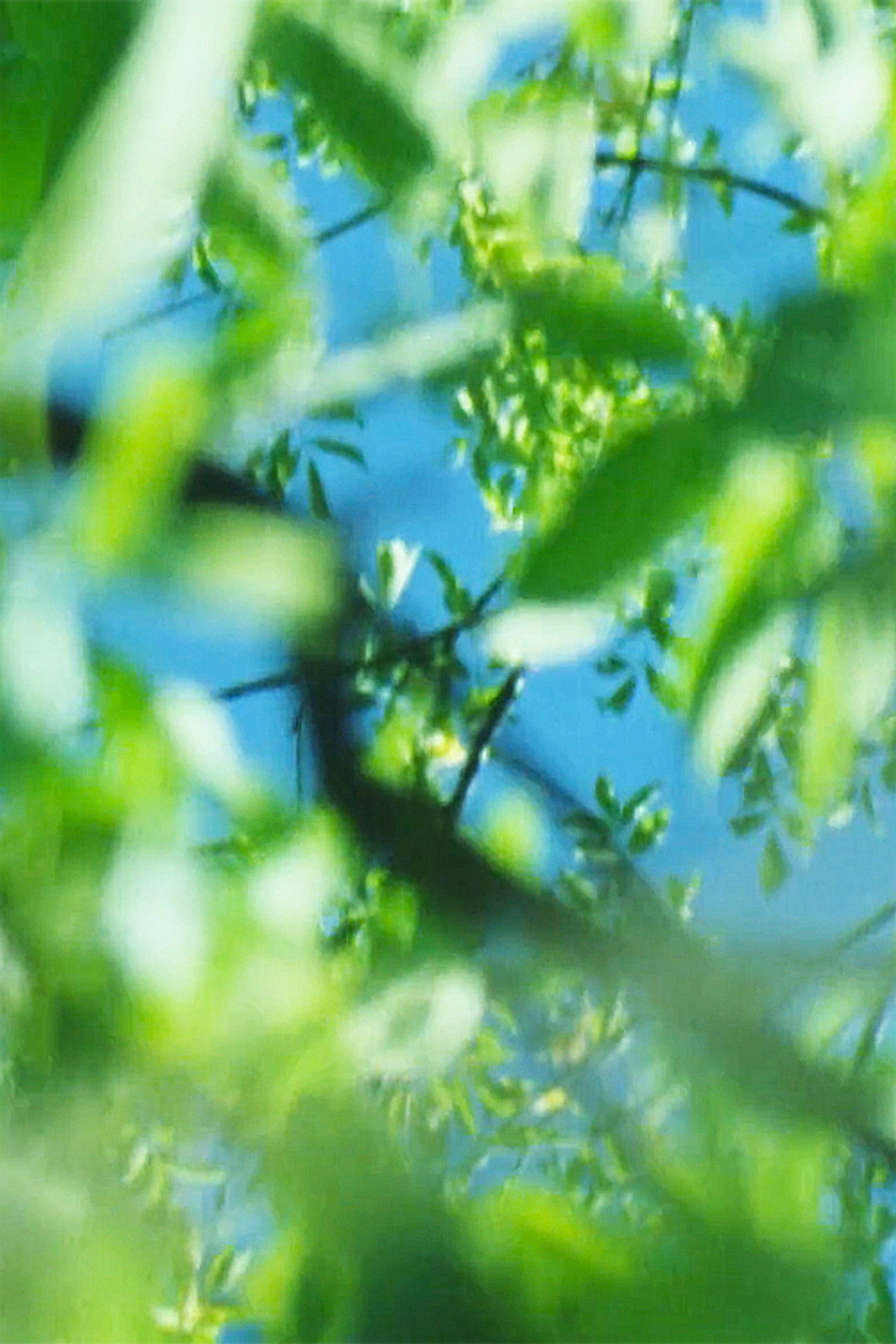 Lettres 16mm filmaffisch