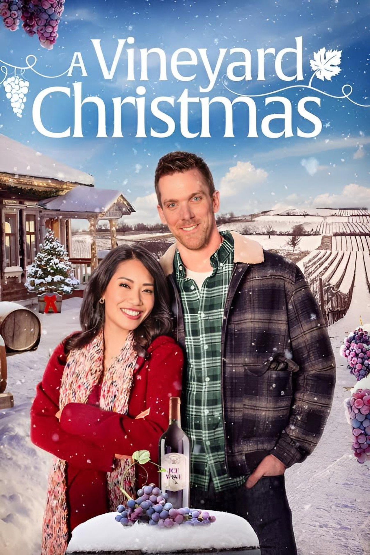 A Vineyard Christmas filmaffisch