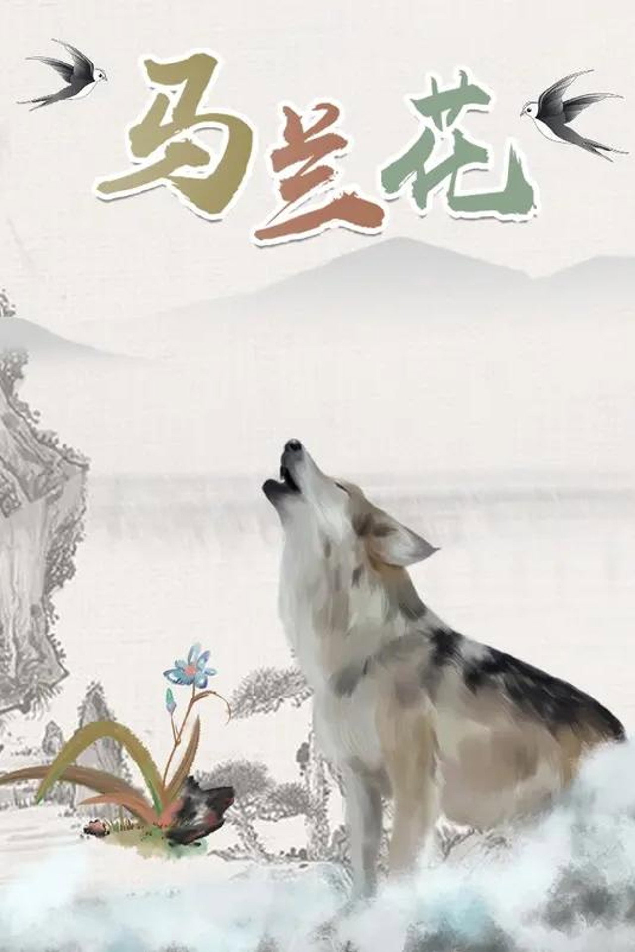 马兰花 filmaffisch