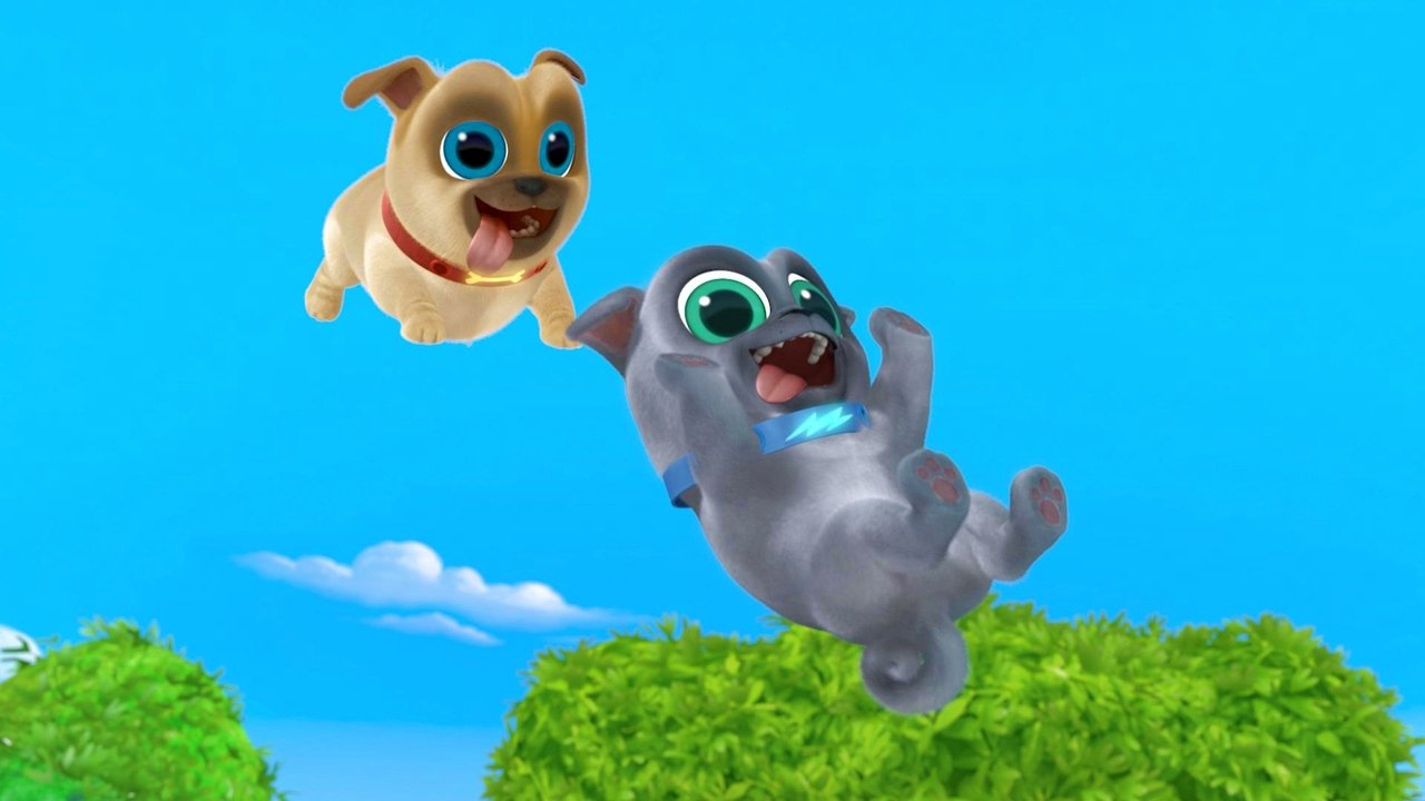 Puppy Dog Pals - Season 2 Episode 27 : Cousin Cody