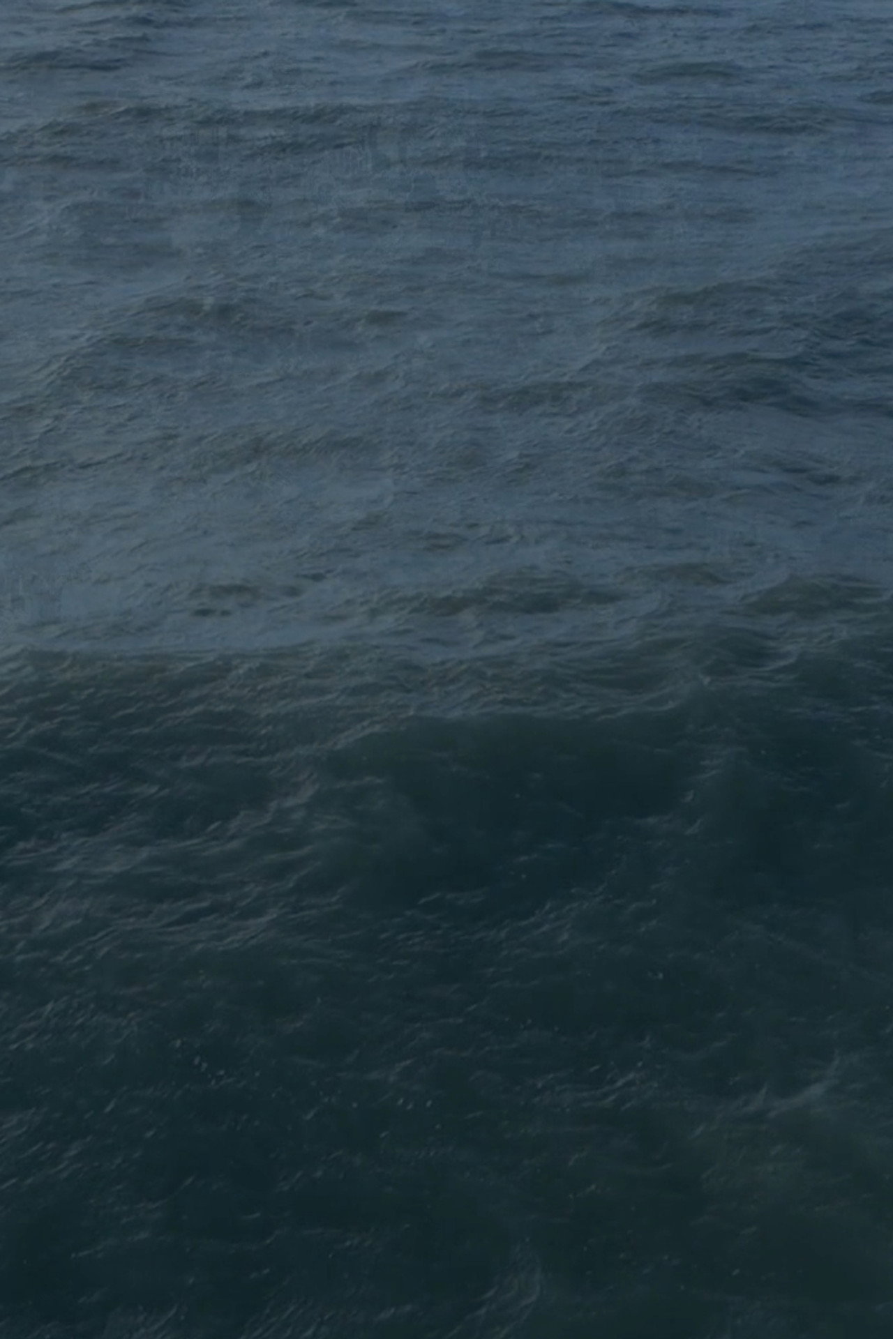 Twenty Nine Minutes at Sea
