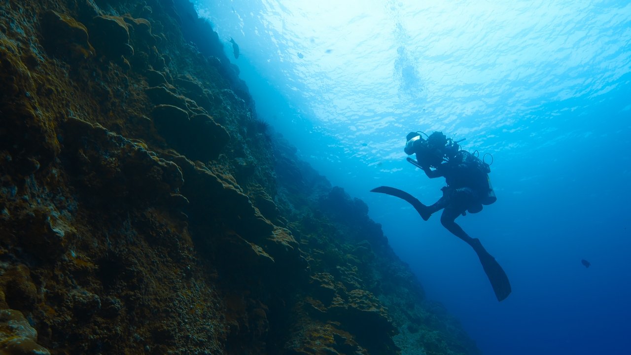 Image Aventuras épicas con Bertie Gregory