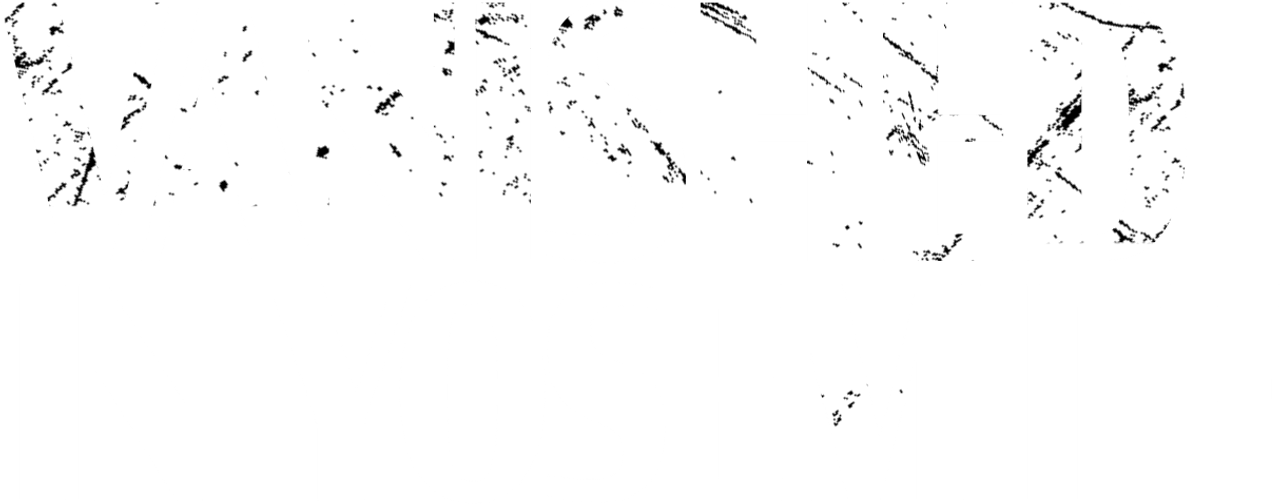 Vanished in Yosemite