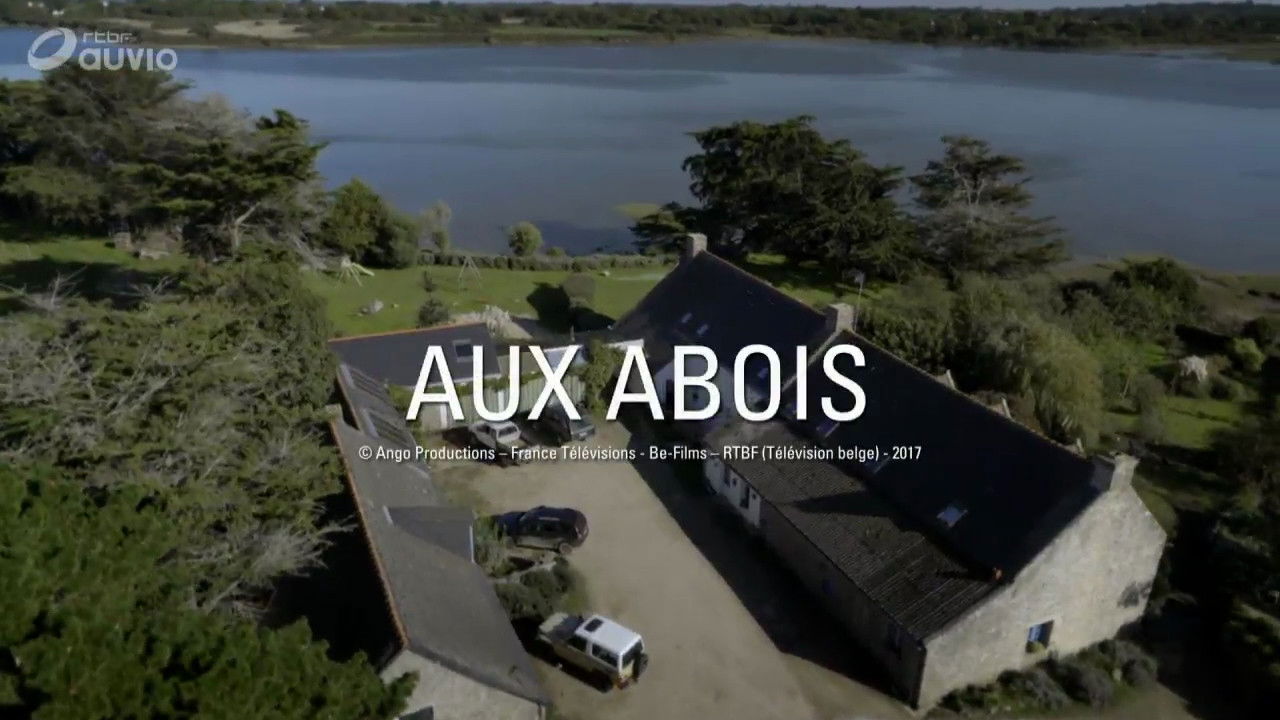 Crimes parfaits — Aux abois