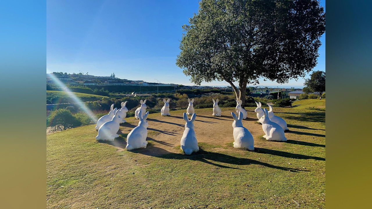 Weird World Adventures — Épisode 2