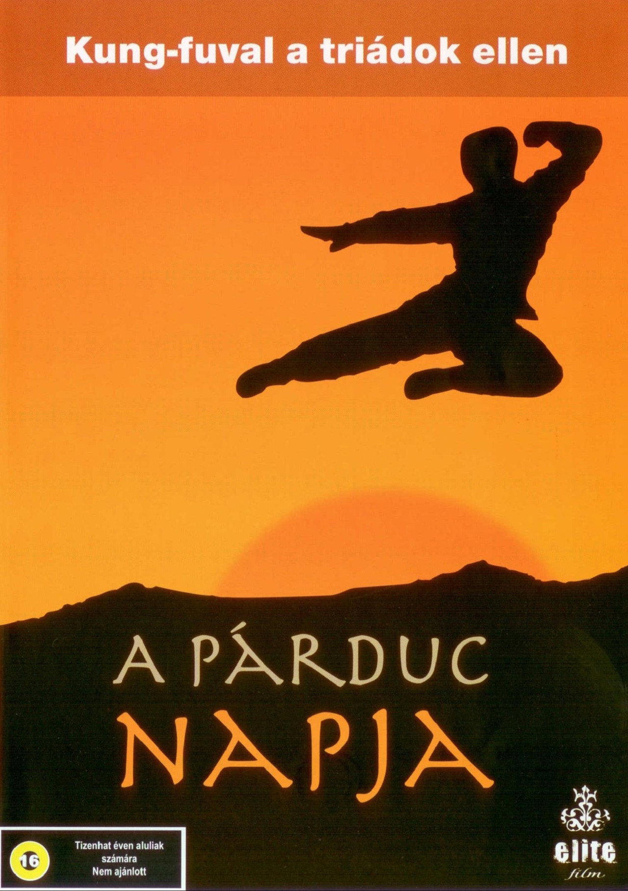 A párduc napja – plakát 6