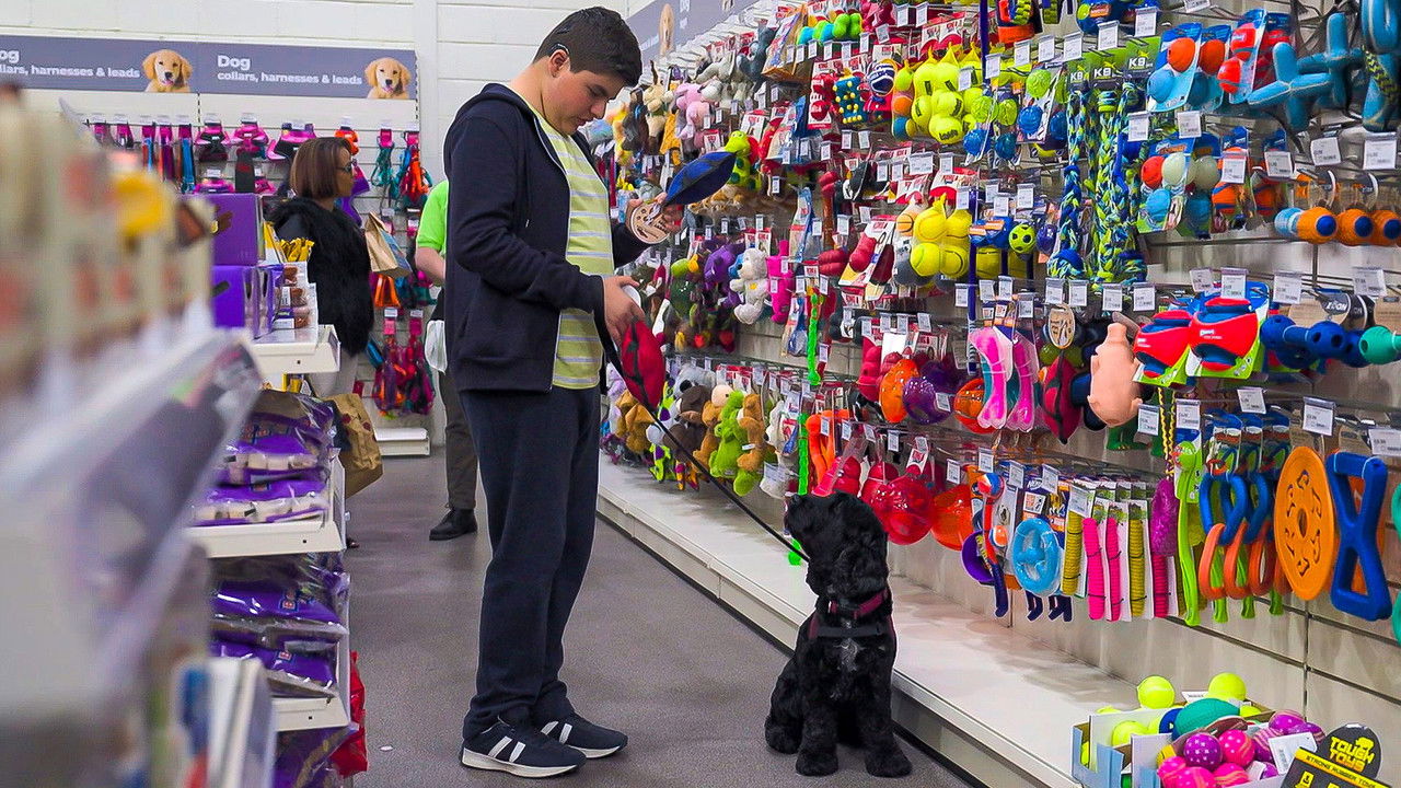 Dog Squad — Épisode 13