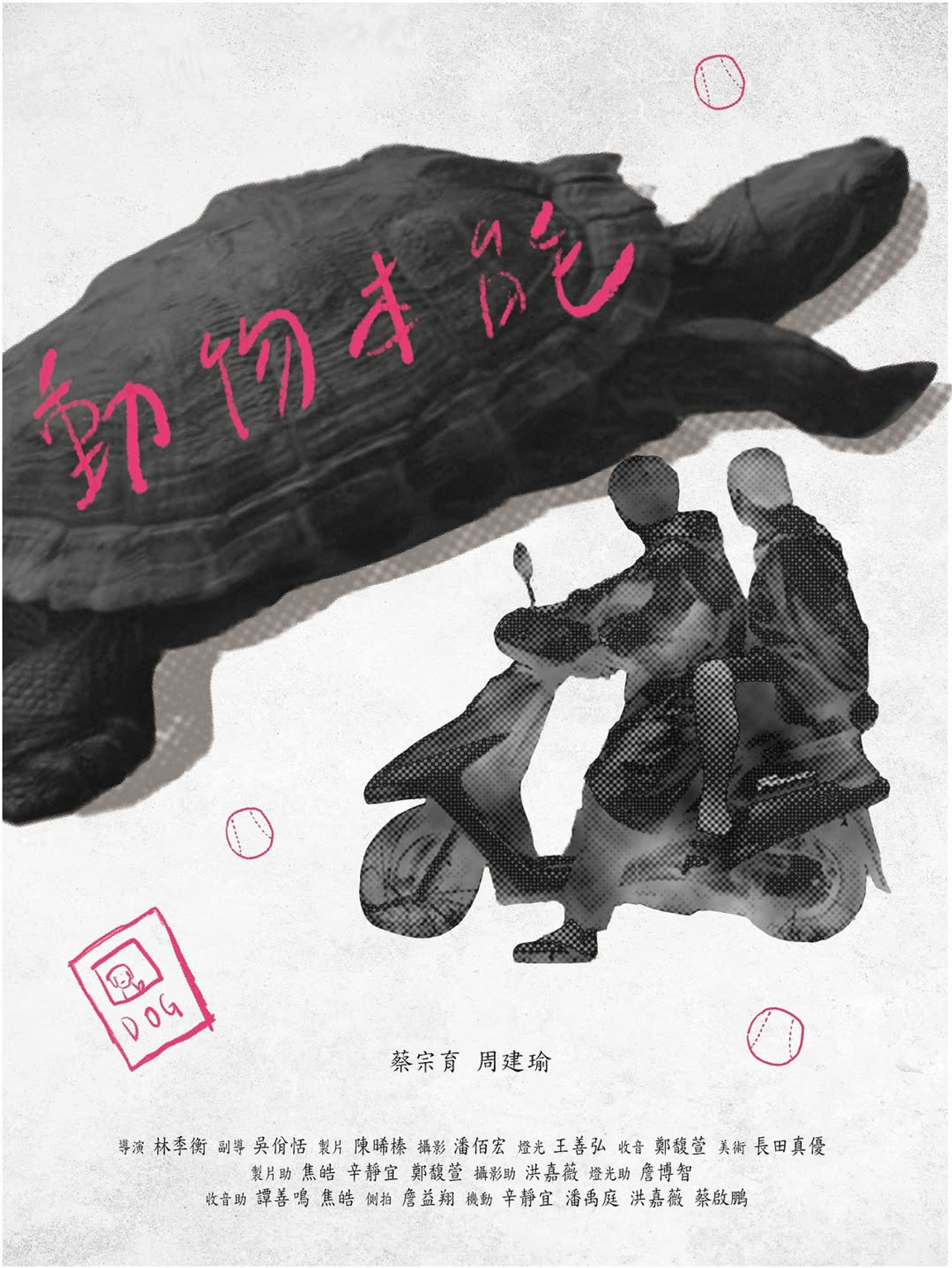 動物本能 filmaffisch