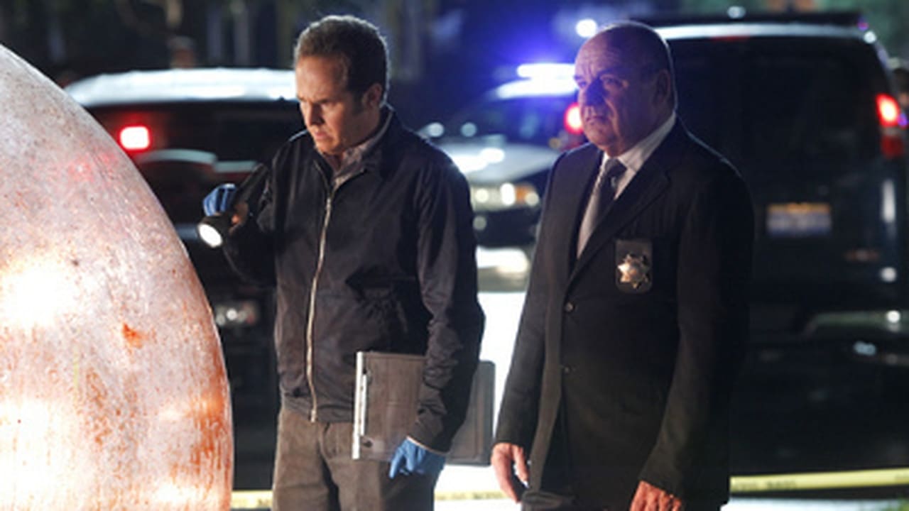 CSI: Crime Scene Investigation - Season 14 Episode 8 : Helpless