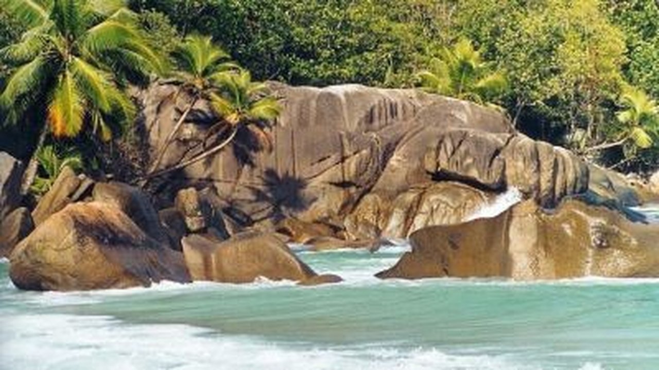 Natural World - Season 19 Episode 8 : Seychelles: Jewels of a Lost Continent