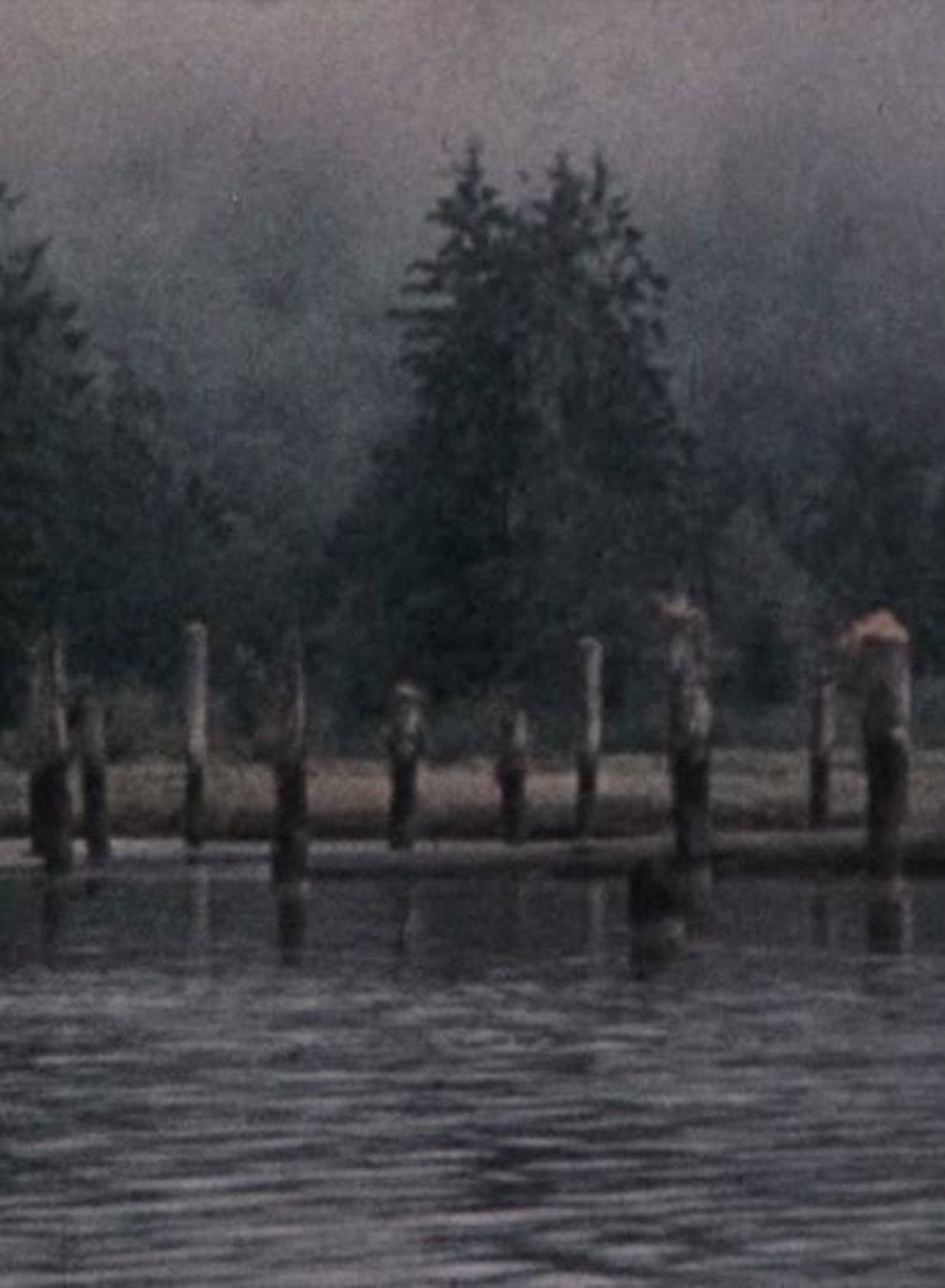 Narrows Inlet filmaffisch