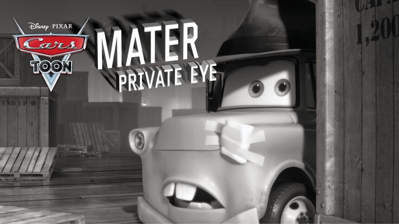 Mater Private Eye background