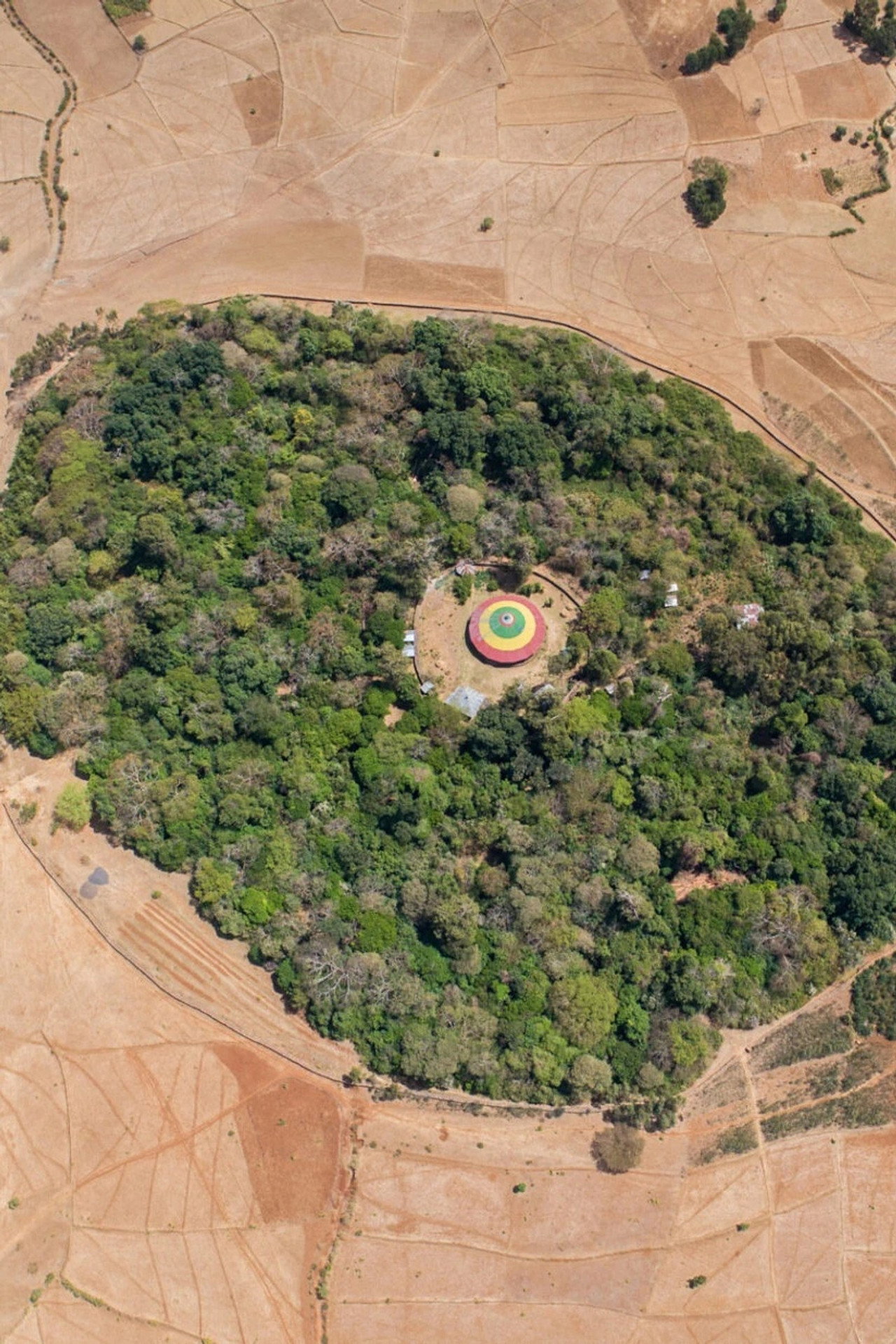 The Church Forests of Ethiopia filmaffisch
