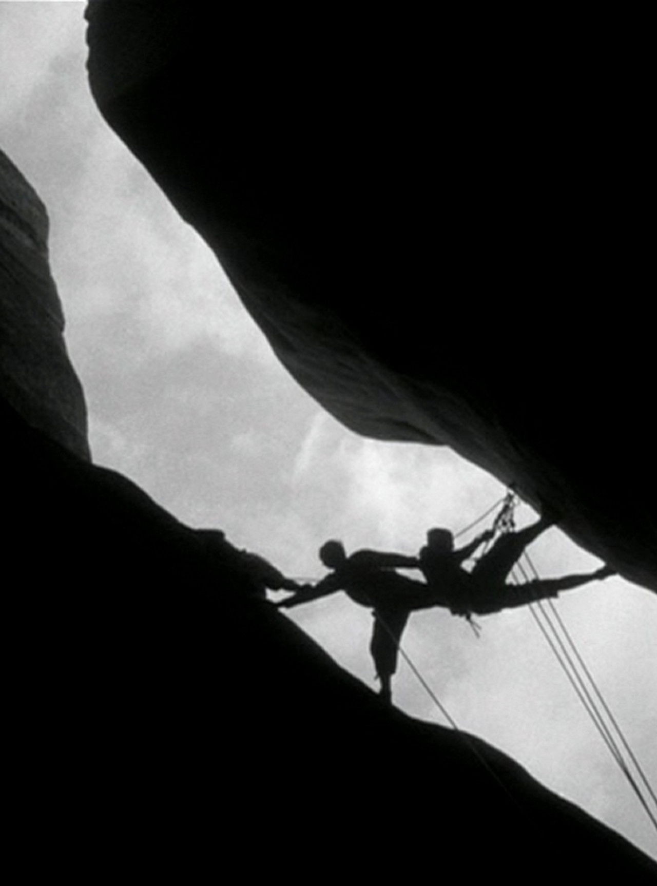 Moment of Joy Backdrop