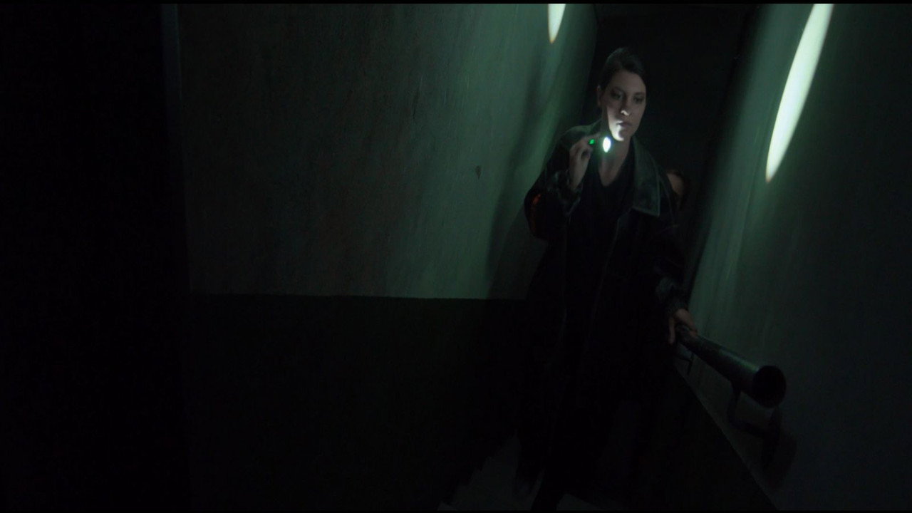 Veines still 12