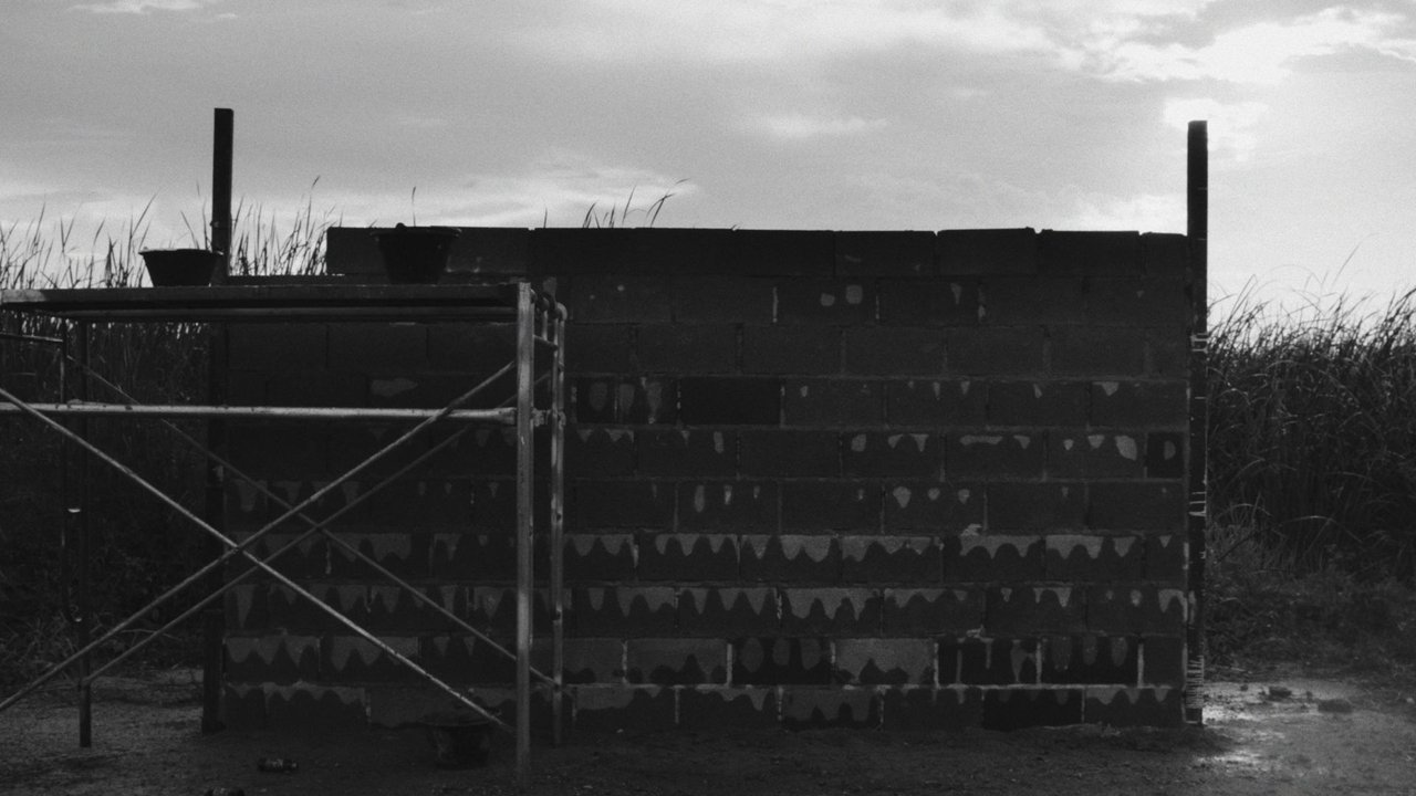 The Construct