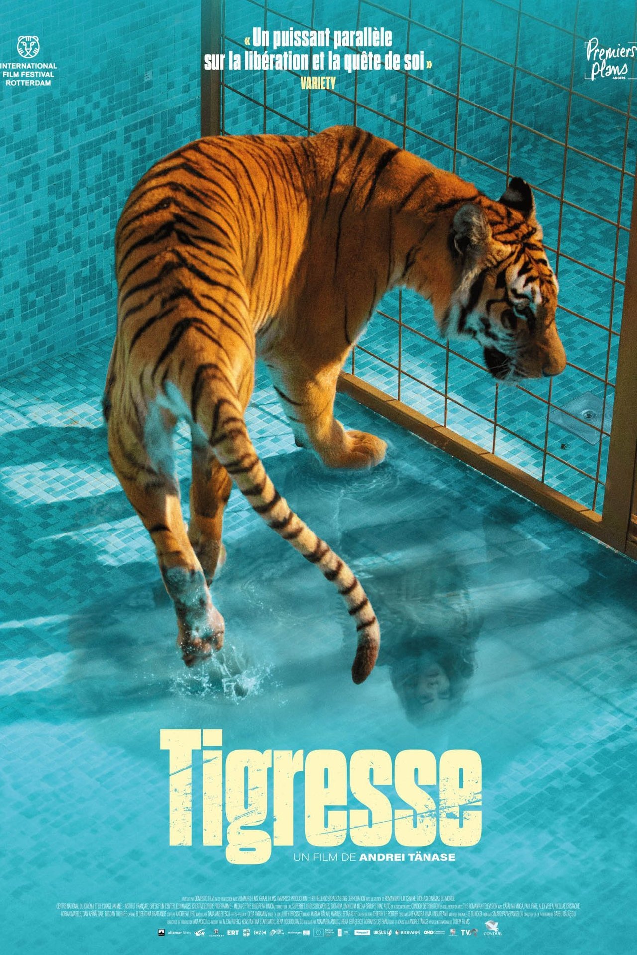 Tigresse poster