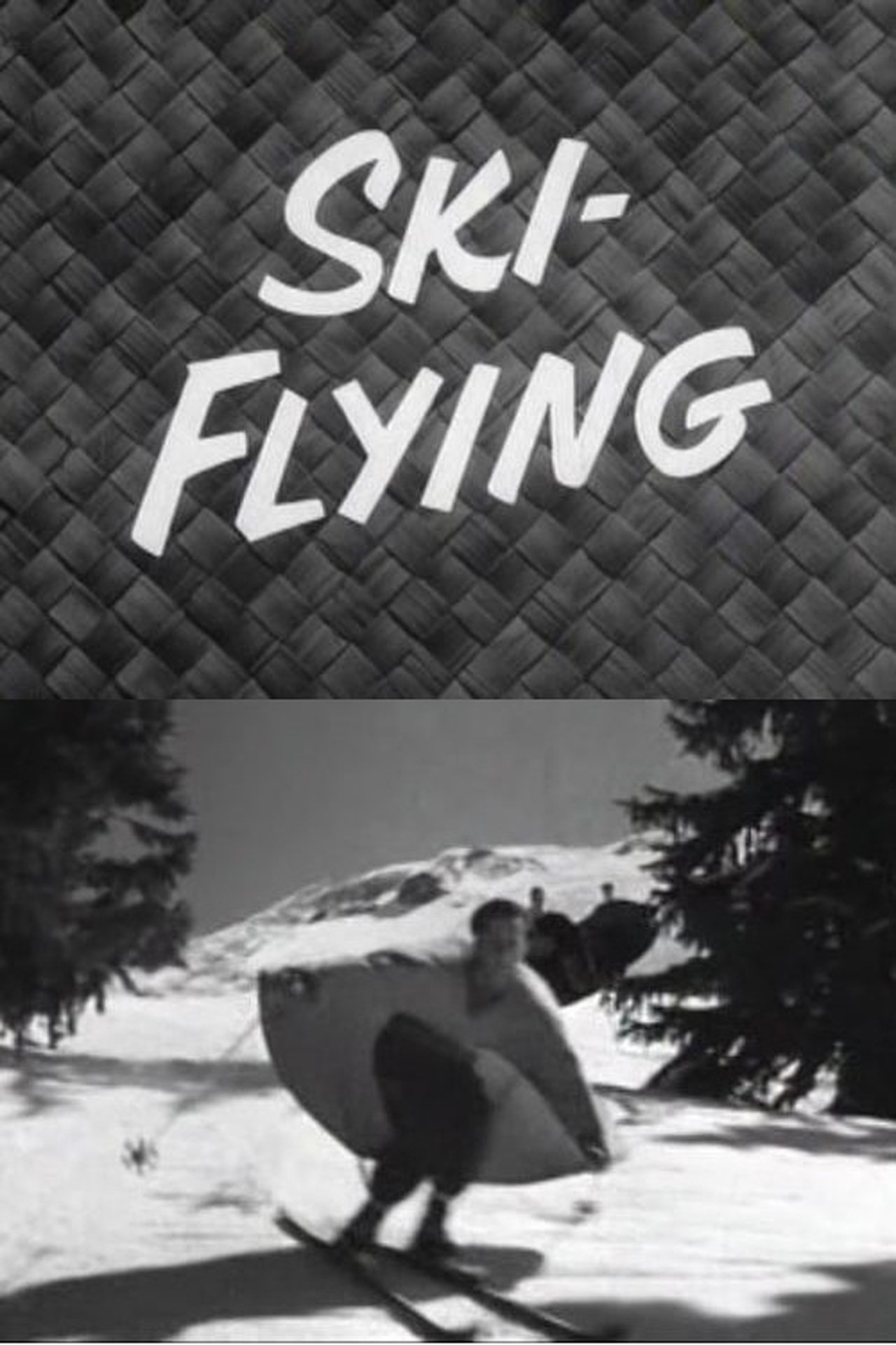 Ski-Flying