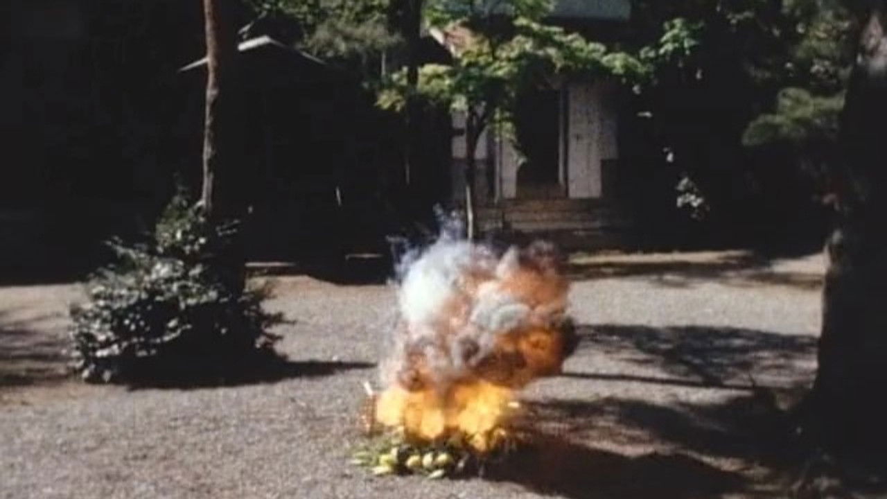 6 Targets!! The Flower Which Explodes