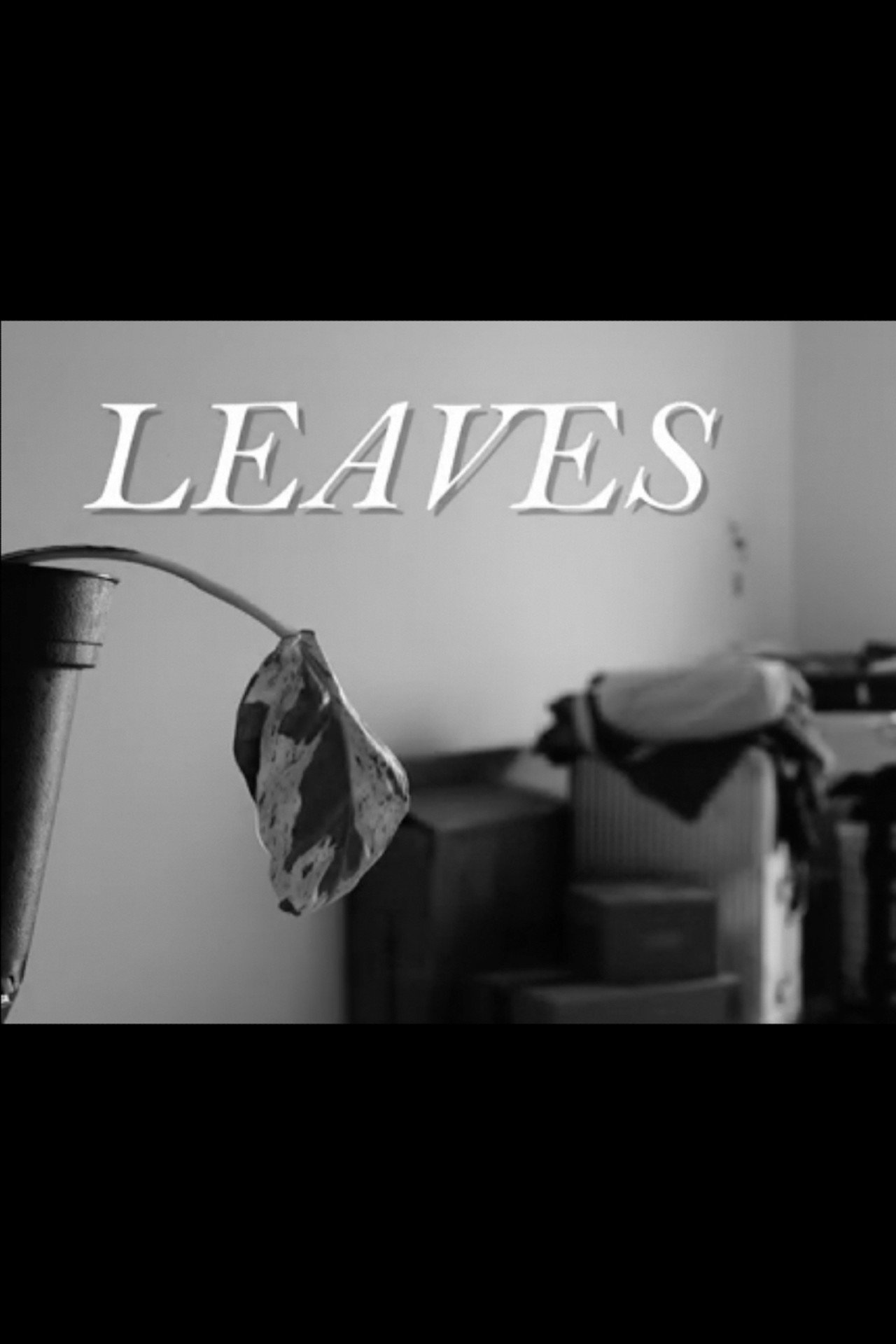 Leaves filmaffisch