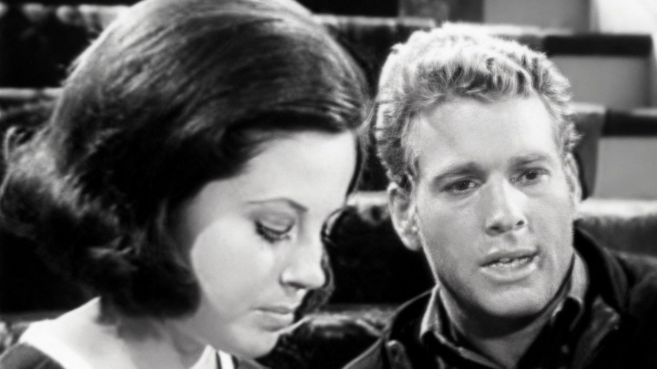 Peyton Place — Épisode 109