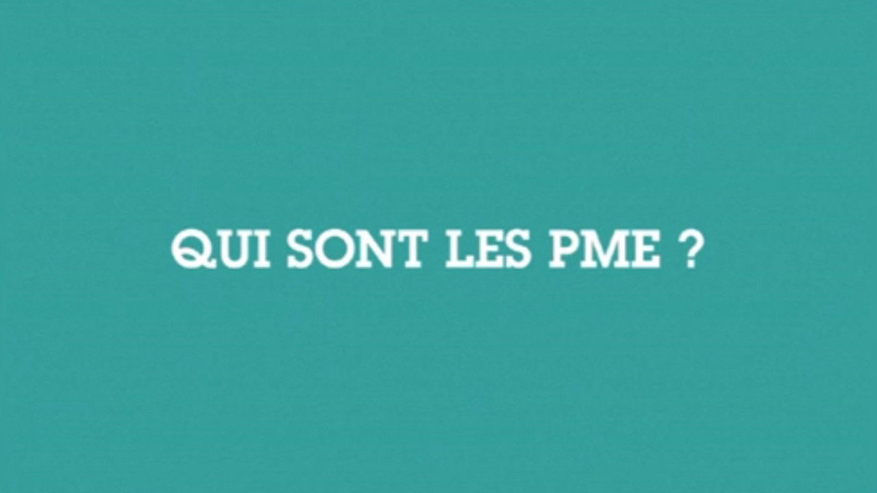 C/Data — Qui sont les PME ?