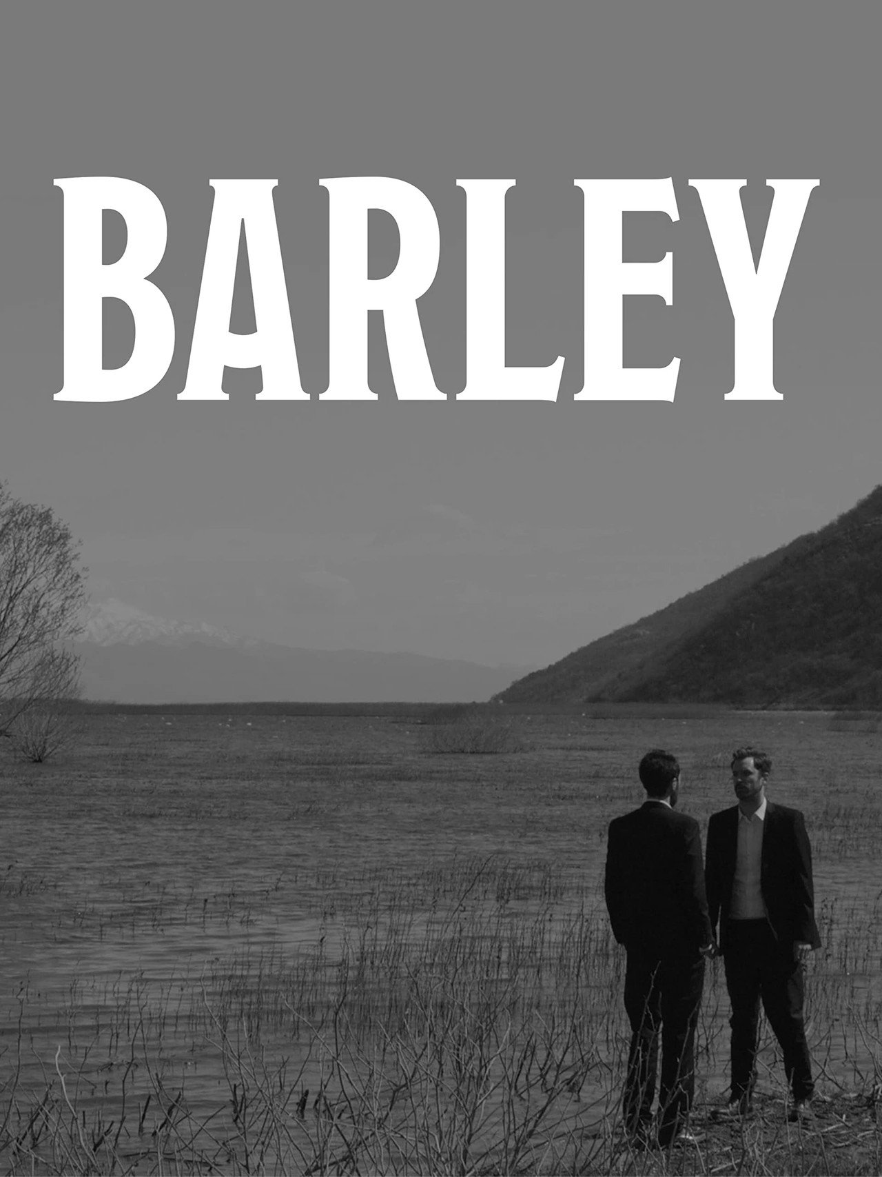 Barley Backdrop
