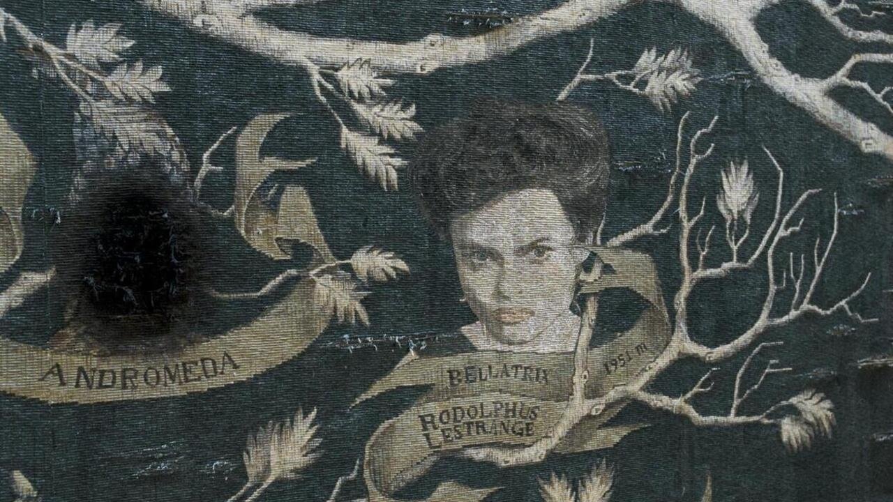 Harry Potter ve Zümrüdüanka Yoldaşlığı