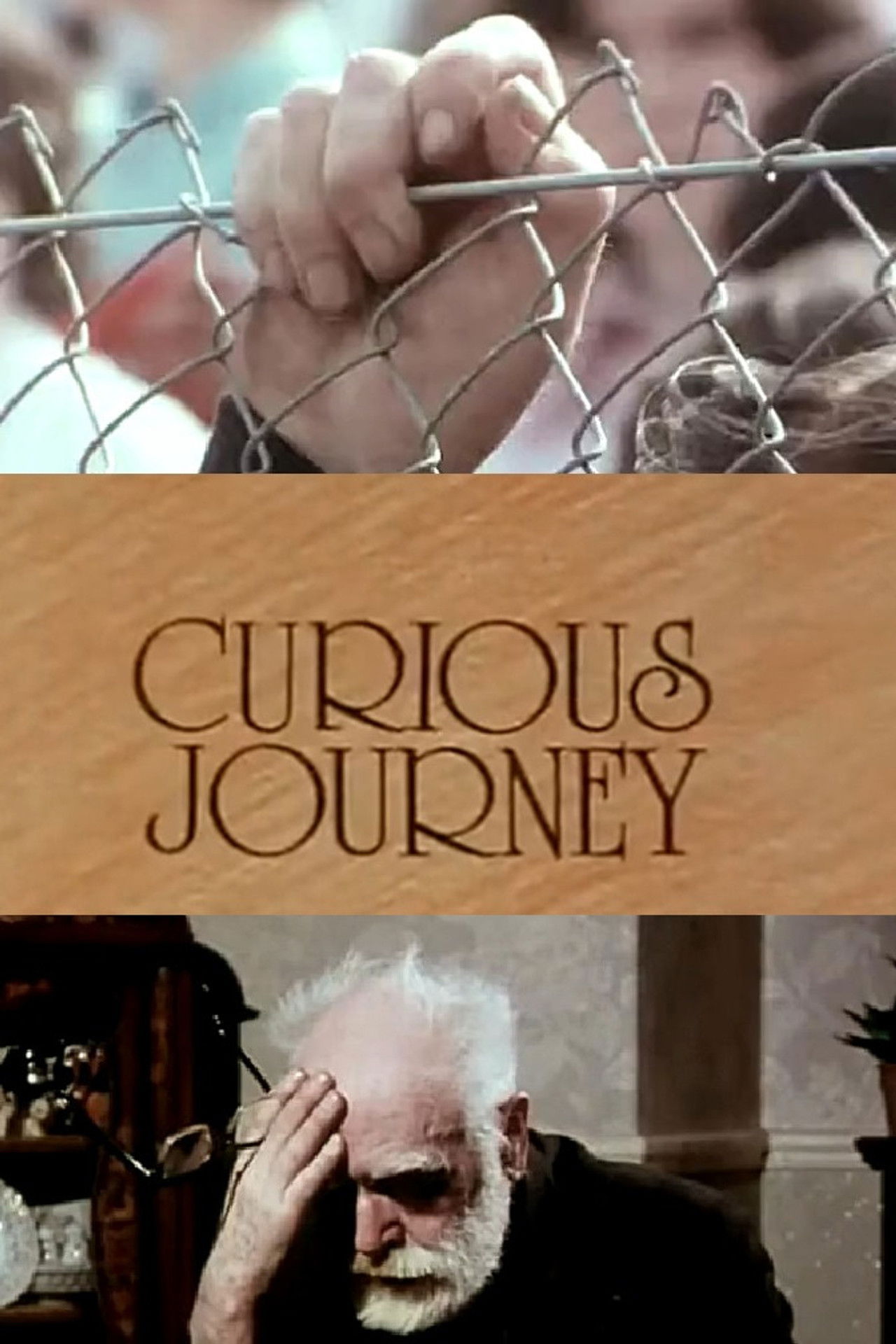 Curious Journey Backdrop