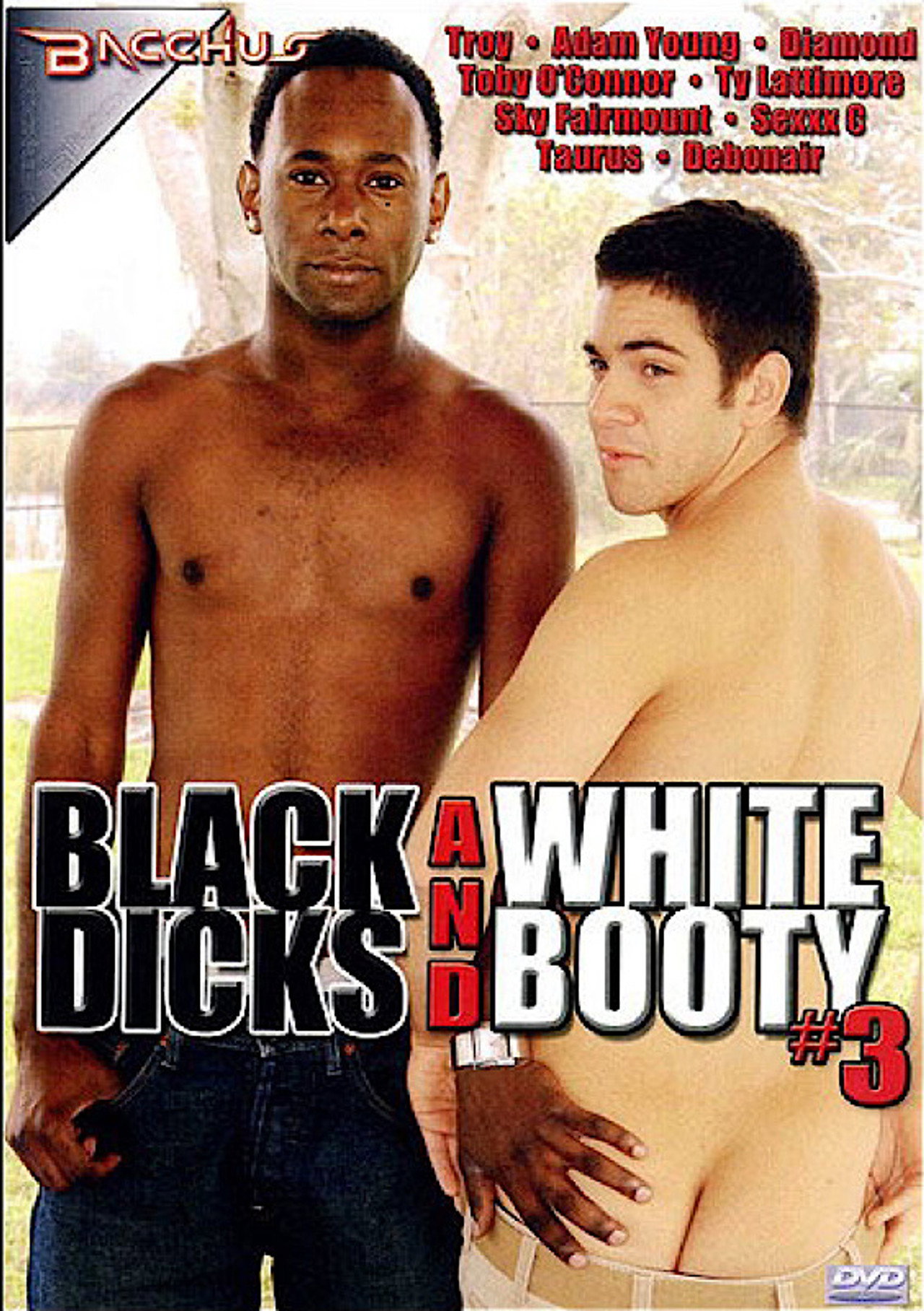Black Dicks and White Booty 3 filmaffisch