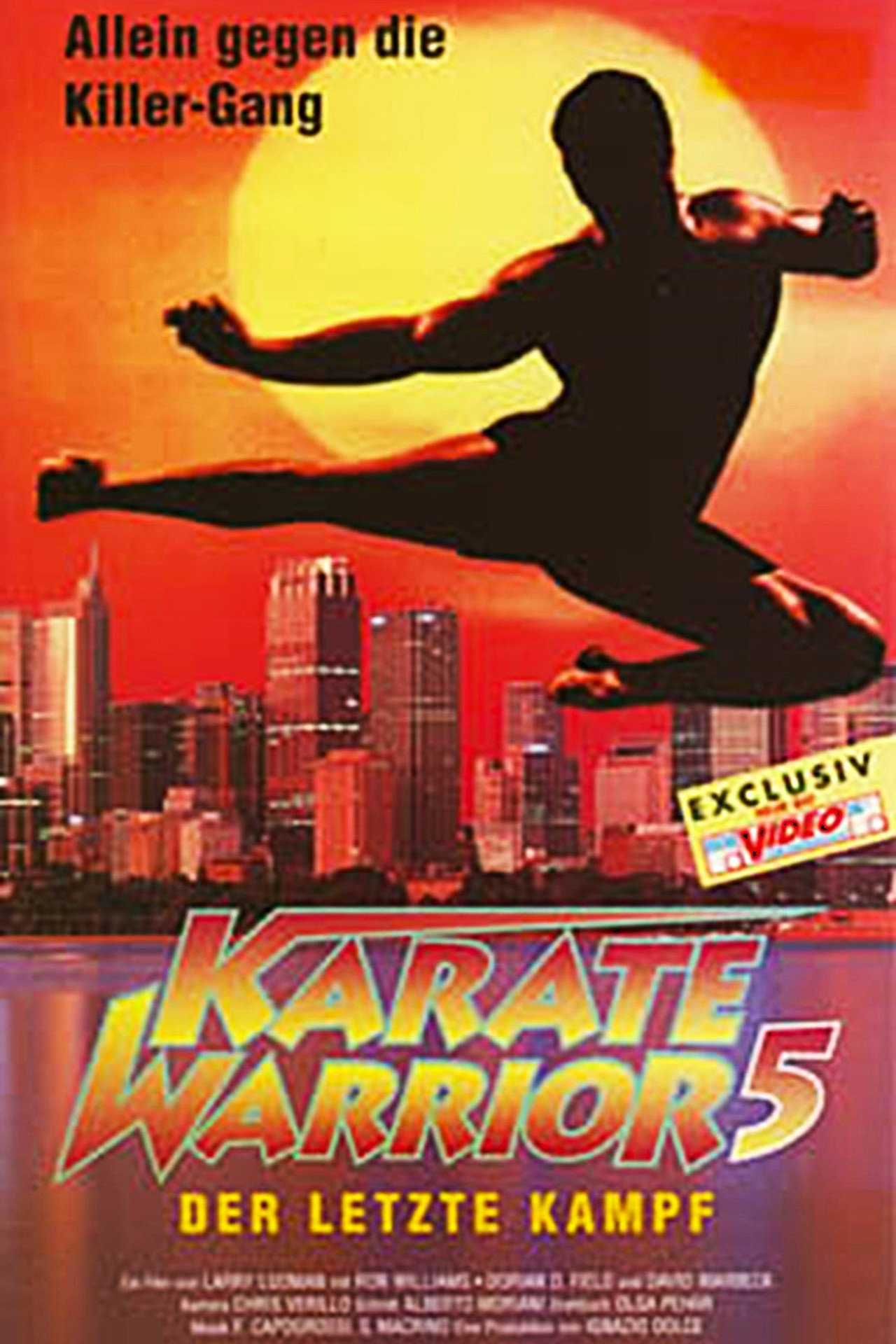 Karate Warrior 5