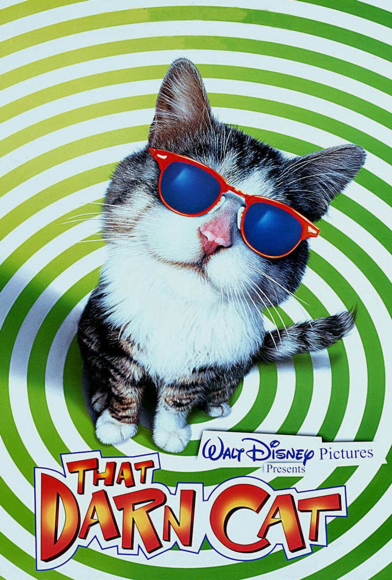 That Darn Cat poster