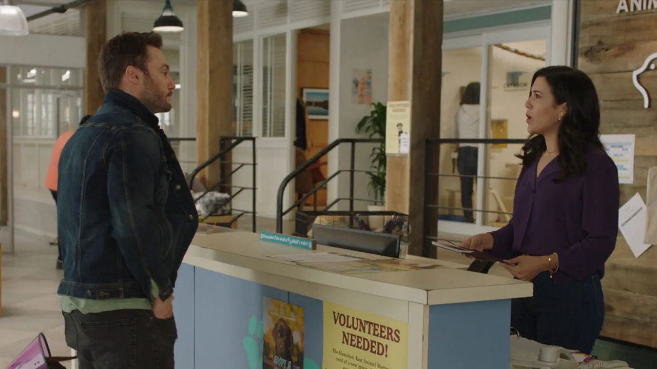 Strays — Épisode 8