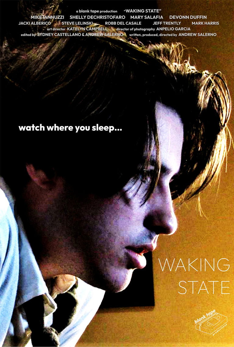 Waking State poster