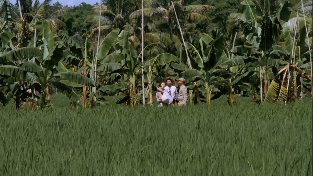 Banana Paradise Backdrop Image