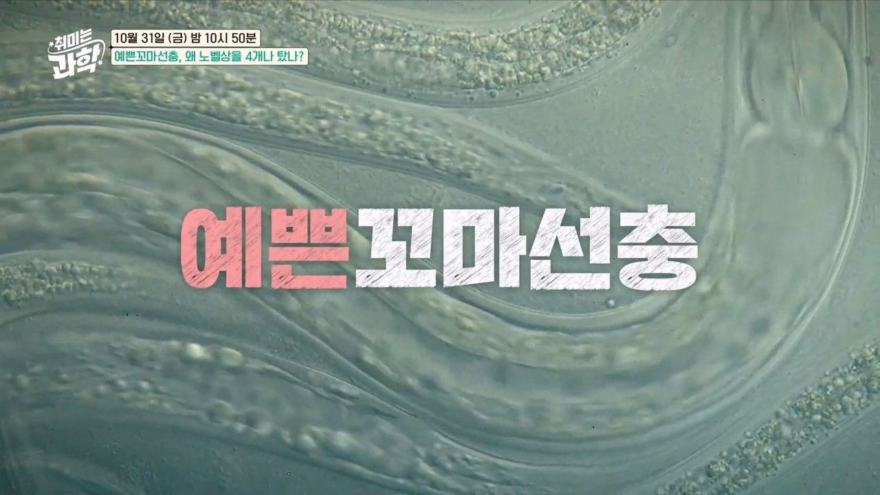 취미는 과학 - Season 1 Episode 56 : Episode 56