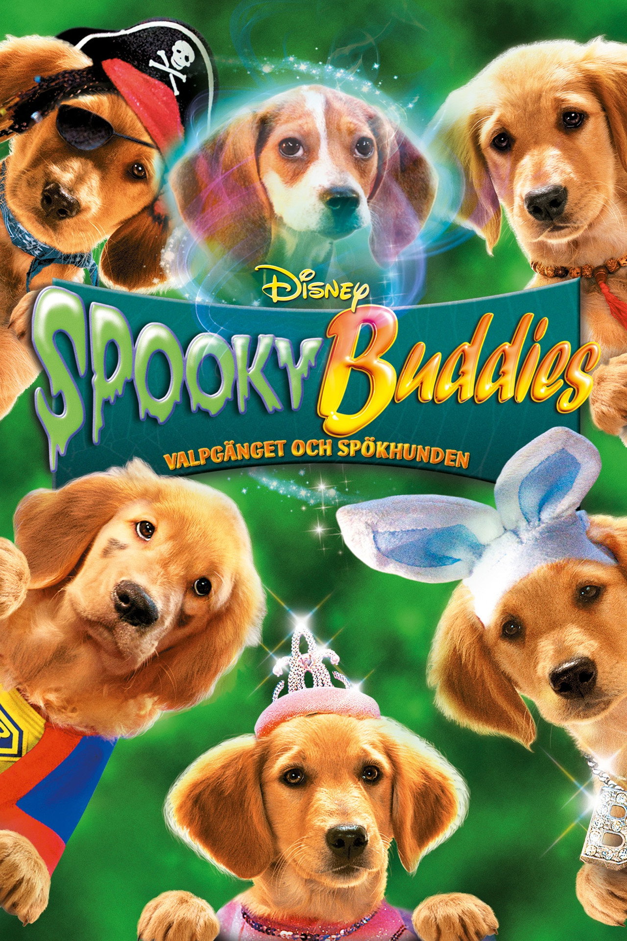 Spooky Buddies: Valpgänget och spökhunden filmaffisch