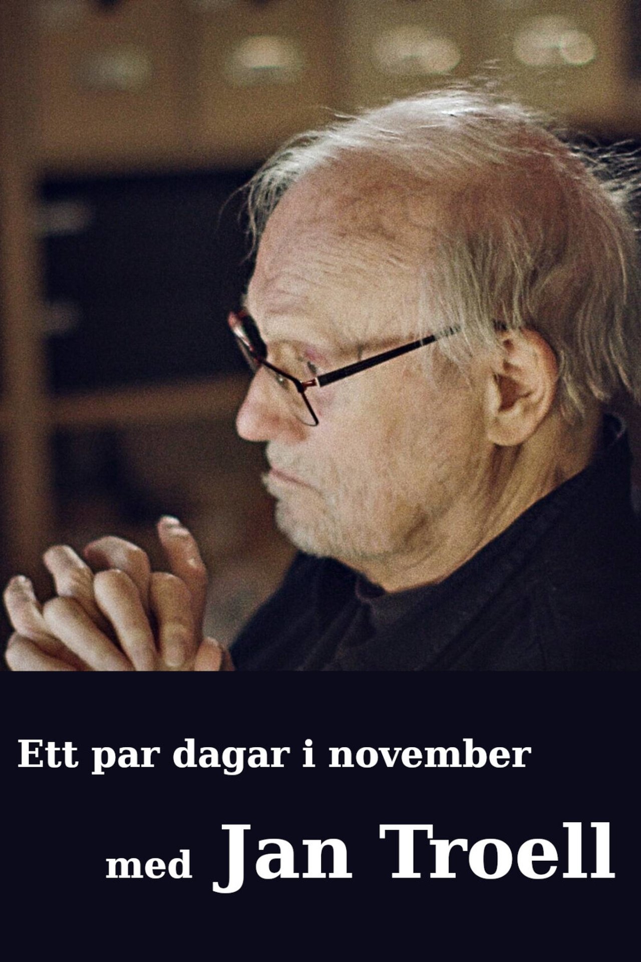 مشاهدة فيلم Ett par dagar i november med Jan Troell مترجم بدون اعلانات - بوستر