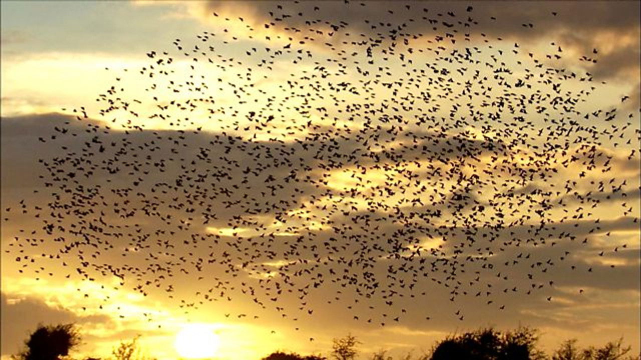 Autumnwatch — Épisode 1