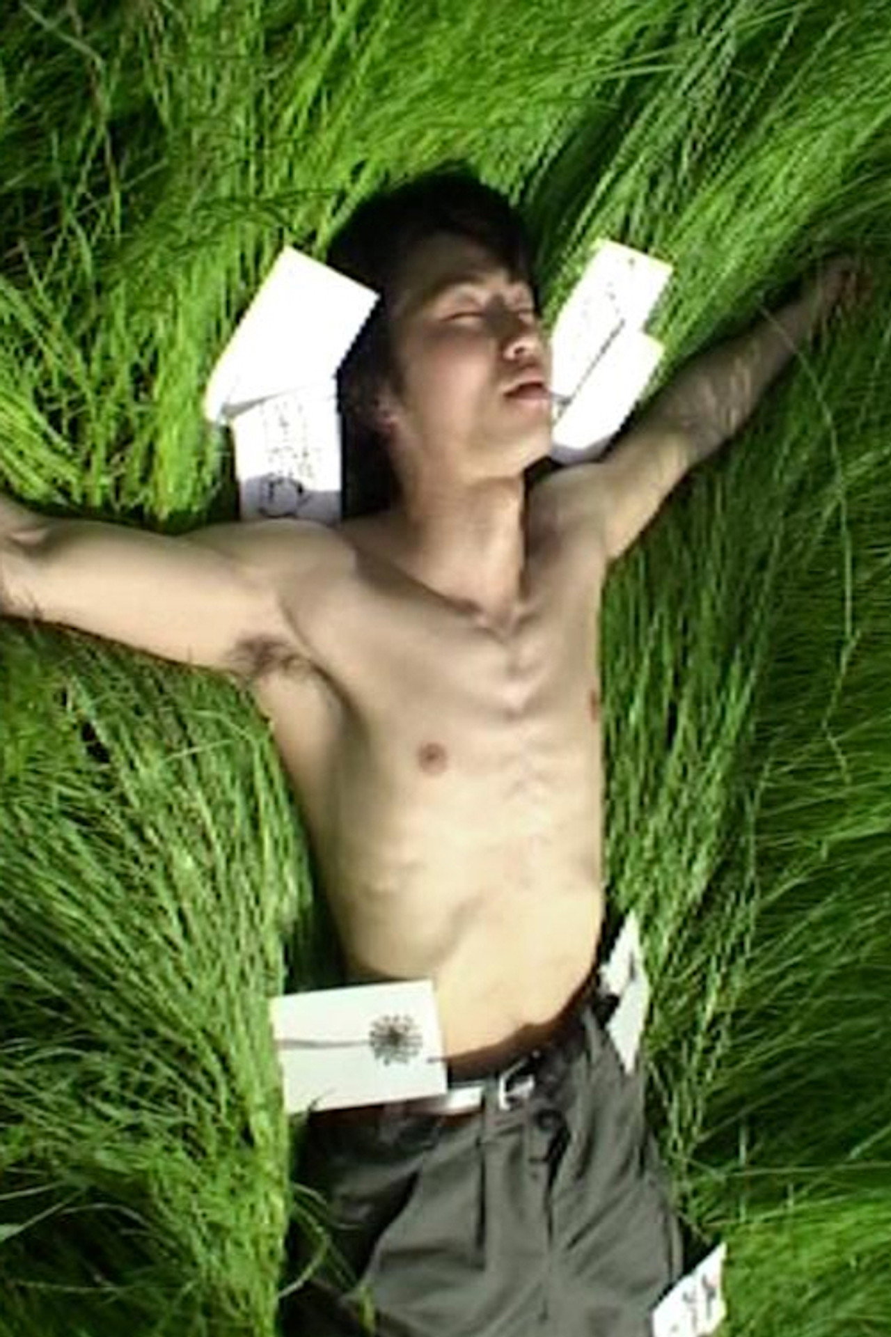えてがみ filmaffisch